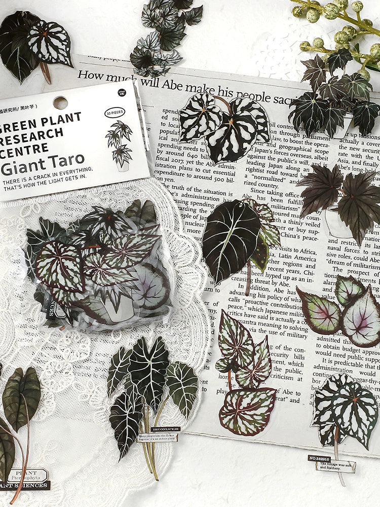 Vintage Green Leaf & Plant Stickers Set | 120 Watercolor Healing Botanical Decals for Diaries & Crafts