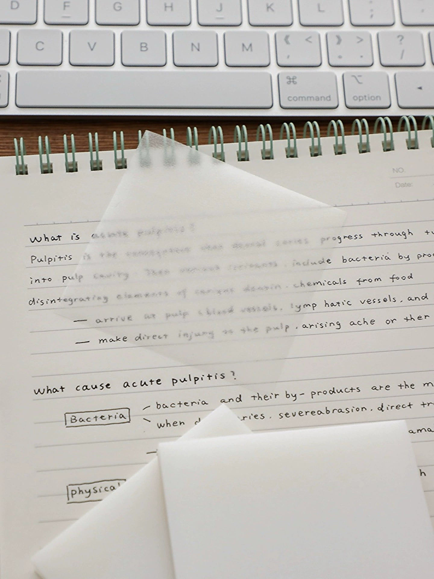 Transparent Study Overlay Stickers - Reusable Note-Taking Essentials for Students