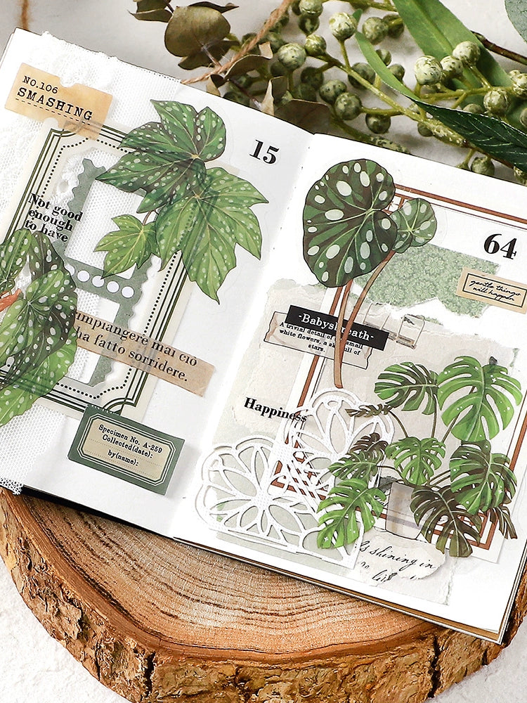 Vintage Green Leaf & Plant Stickers Set | 120 Watercolor Healing Botanical Decals for Diaries & Crafts