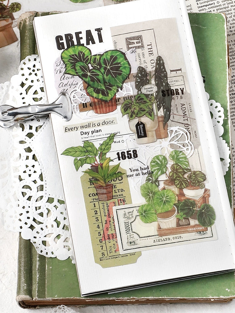 Vintage Green Leaf & Plant Stickers Set | 120 Watercolor Healing Botanical Decals for Diaries & Crafts