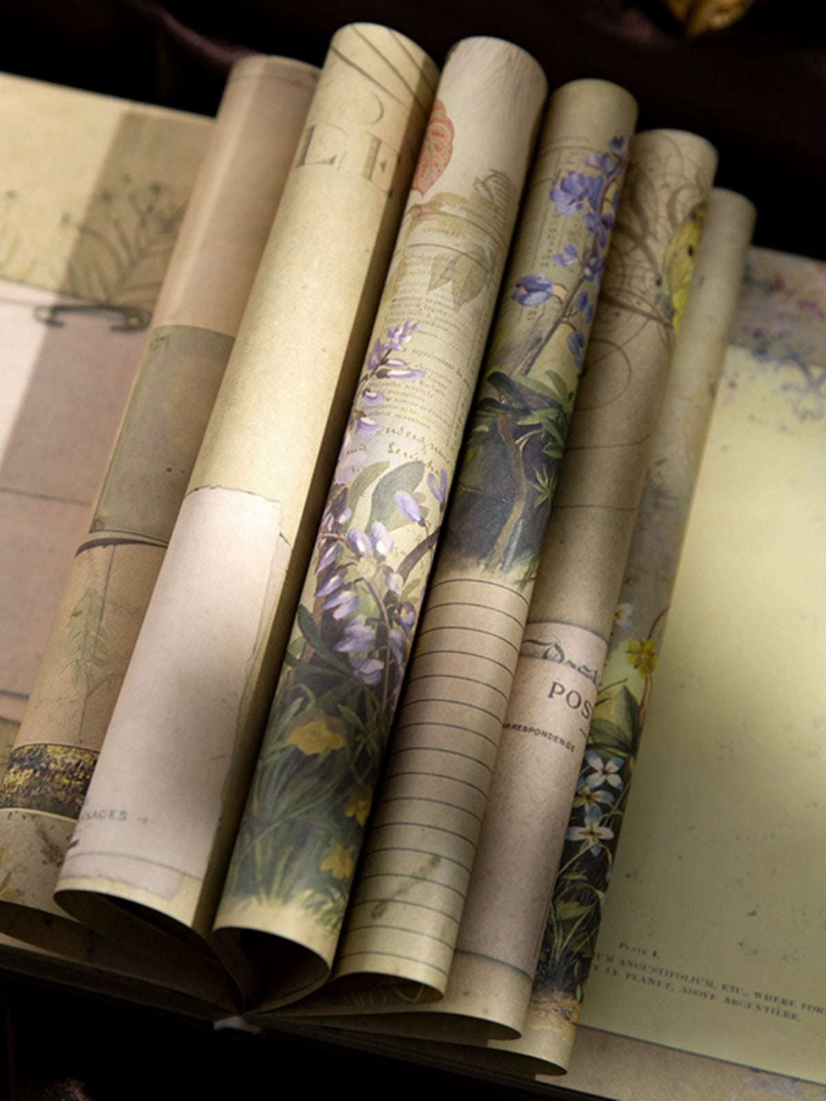 Vintage Elegance Notebook