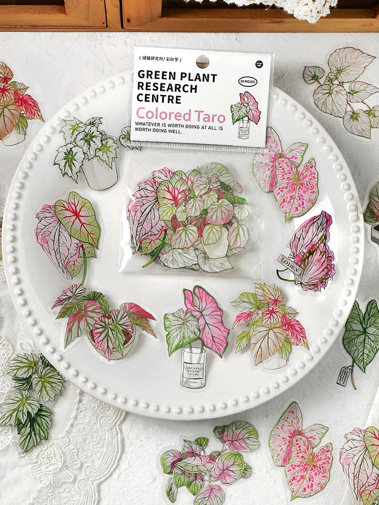 Vintage Green Leaf & Plant Stickers Set | 120 Watercolor Healing Botanical Decals for Diaries & Crafts