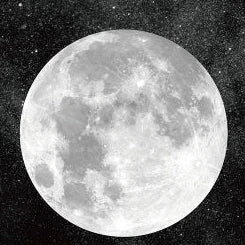 Creative Celestial Observation Series - Earth and Moon Post-it Notes Set