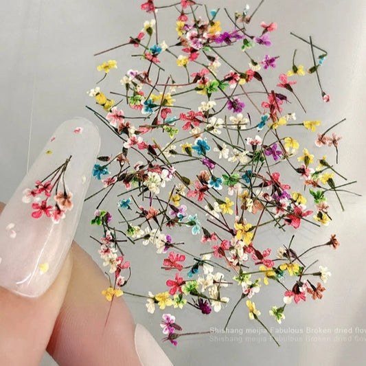 Dried Flower Nail Art Jewelry - Mixed Oil Painting Style