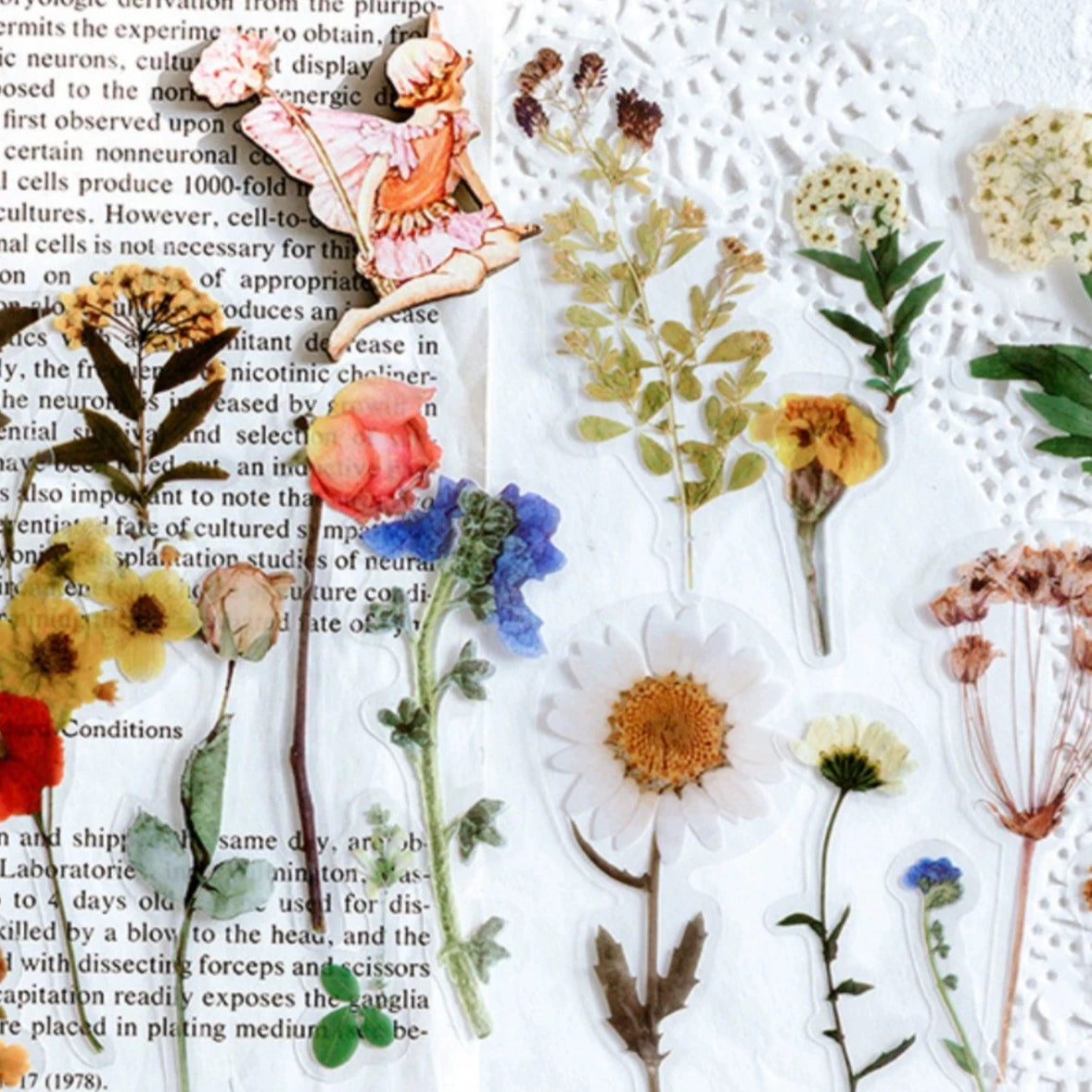 Captivating Pressed Flower Sticker Pack: Elevate Your Creativity with Nature's Beauty