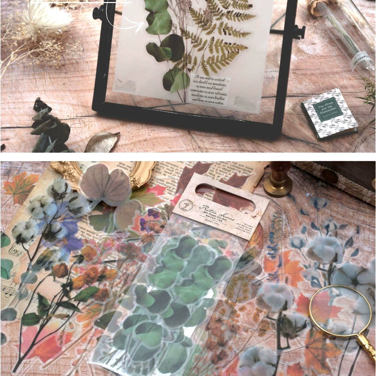 Captivating Pressed Flower Sticker Pack: Elevate Your Creativity with Nature's Beauty