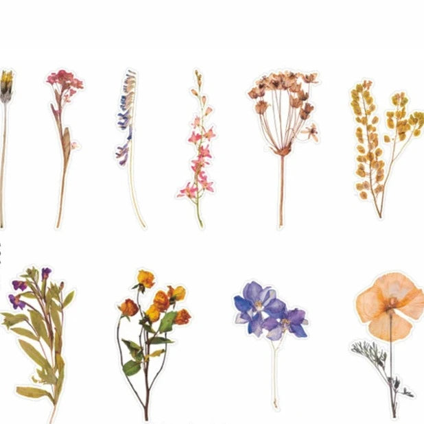 Captivating Pressed Flower Sticker Pack: Elevate Your Creativity with Nature's Beauty