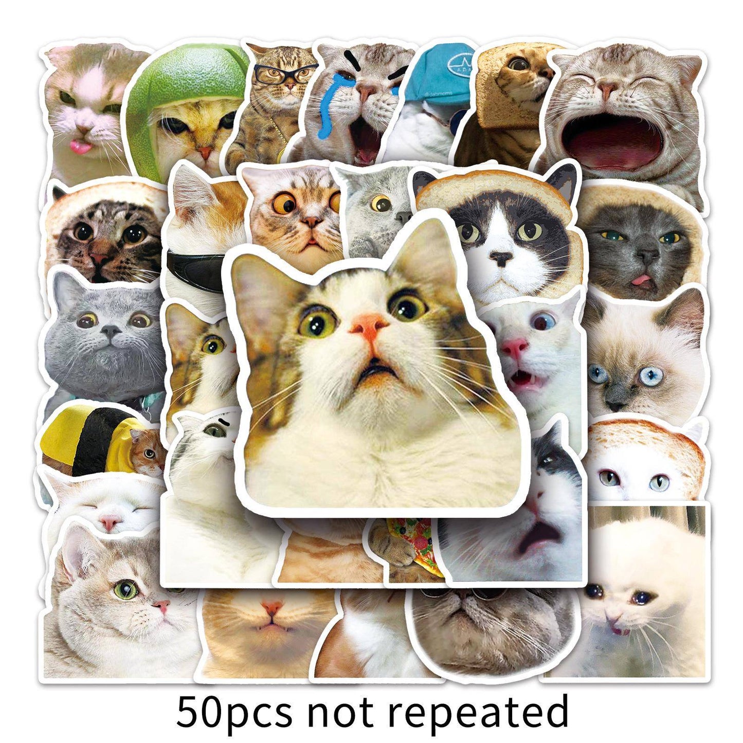 65pcs Funny Cute Cat Meme Stickers Kid Toy Scrapbook Noteboo