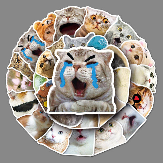 65pcs Funny Cute Cat Meme Stickers Kid Toy Scrapbook Noteboo