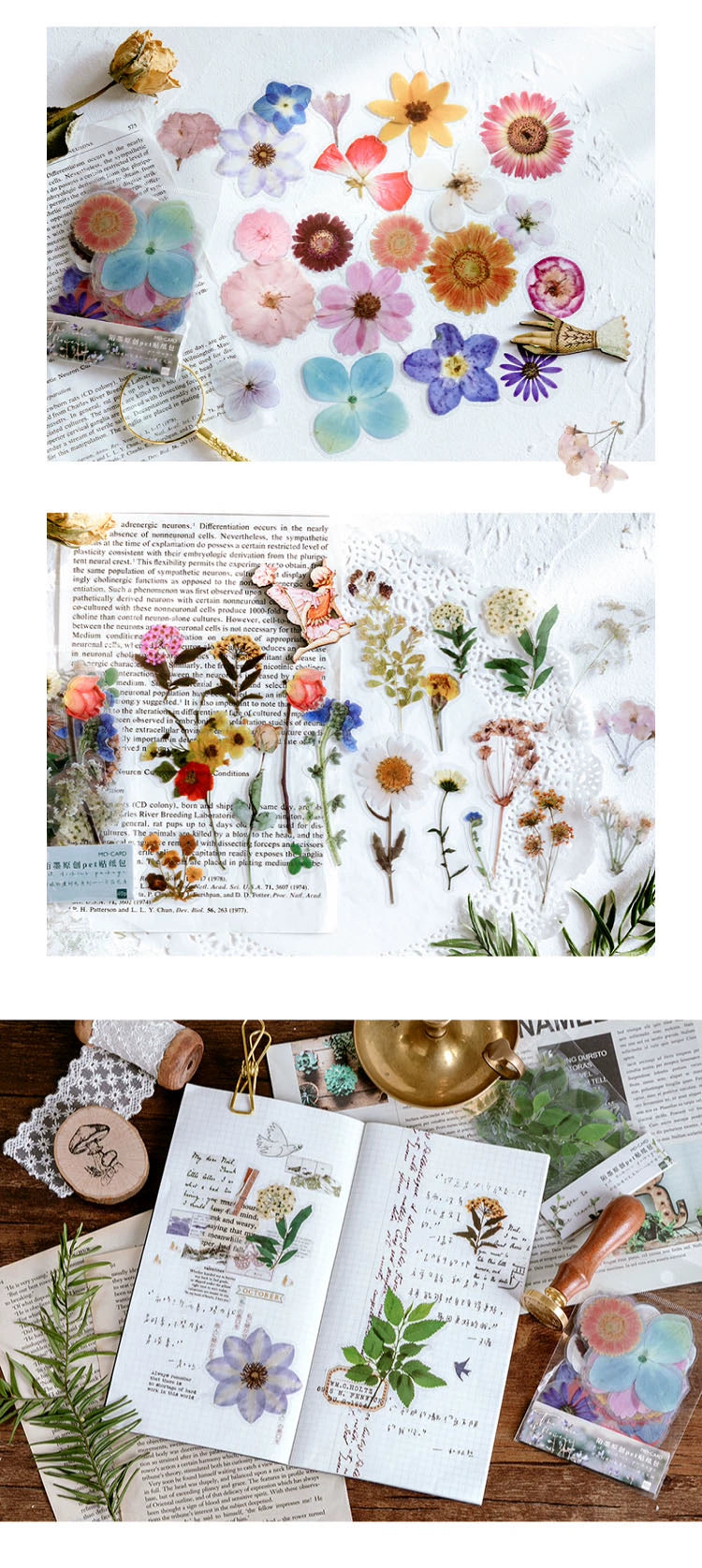 Captivating Pressed Flower Sticker Pack: Elevate Your Creativity with Nature's Beauty