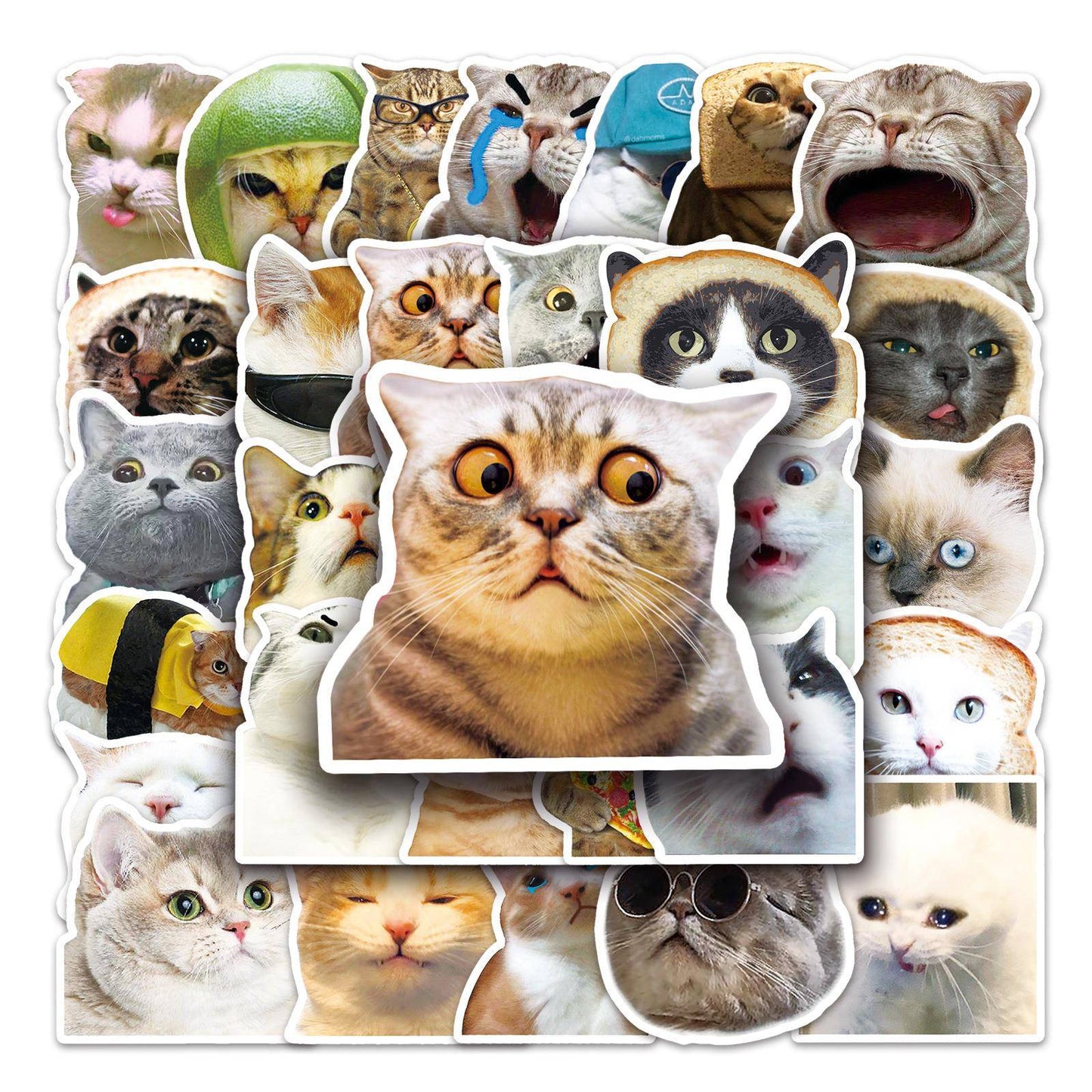 65pcs Funny Cute Cat Meme Stickers Kid Toy Scrapbook Noteboo